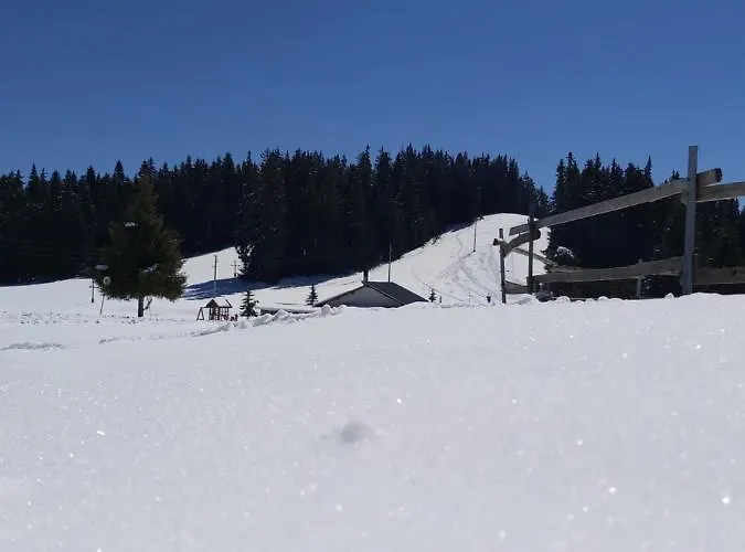 Krasi * ヴェリングラード